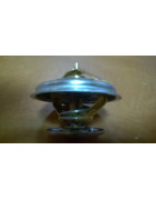 Termostat Zetor 70011316