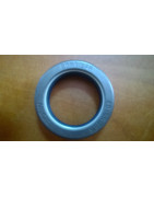 Uszczelniacz 40*55*15,5 Zetor 930255, 930809