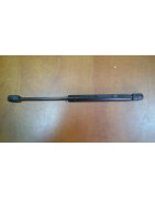 Siłownik gazowy 6005014318