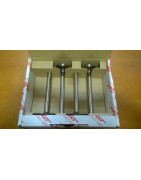 Zestaw zaworów wydechowych 93942013