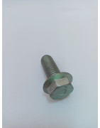 Śruba 80131231, 80131232