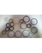 Komplet uszczelek siłownika wychyłu tura Trac - Lift SLi, Slx 80 Zetor 6696200125