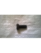 Śruba do sprzęgła krótka 12025911