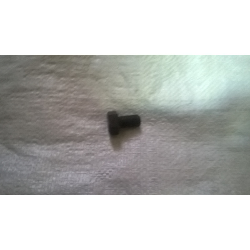 Śruba PL321205, 11311861 Śruba PL321205, 11311861