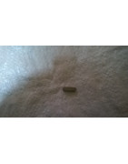 Wpust płaski PL601717, 86000111