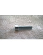 Śruba Zetor oryginał 992217