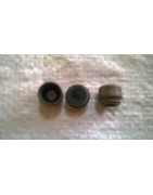 Uszczelnienie trzonków zaworów 19006516