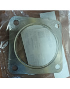 Uszczelka Landini 6679930A1, 3688A037, T424422