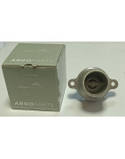Termostat Landini 6679520A1