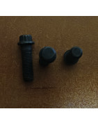 Śruba płyty napędowej 07-01-0276, 5334-245