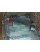 Elektomagnes gaszenia 1896464M1, 7167-620D