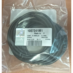 Oring Landini 1007241M1