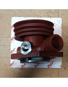 Pompa wodna Zetor 13017019