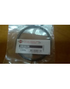 Zabezpieczenie Kuhn 50030200