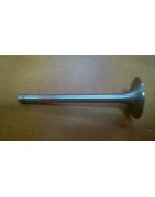 Zawór ssący Zetor 52020555