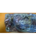 Głowica Zetor-3 49010554